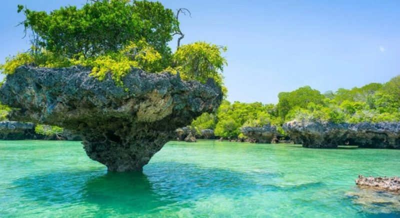 Coral-rock islet in the turquoise lagoon